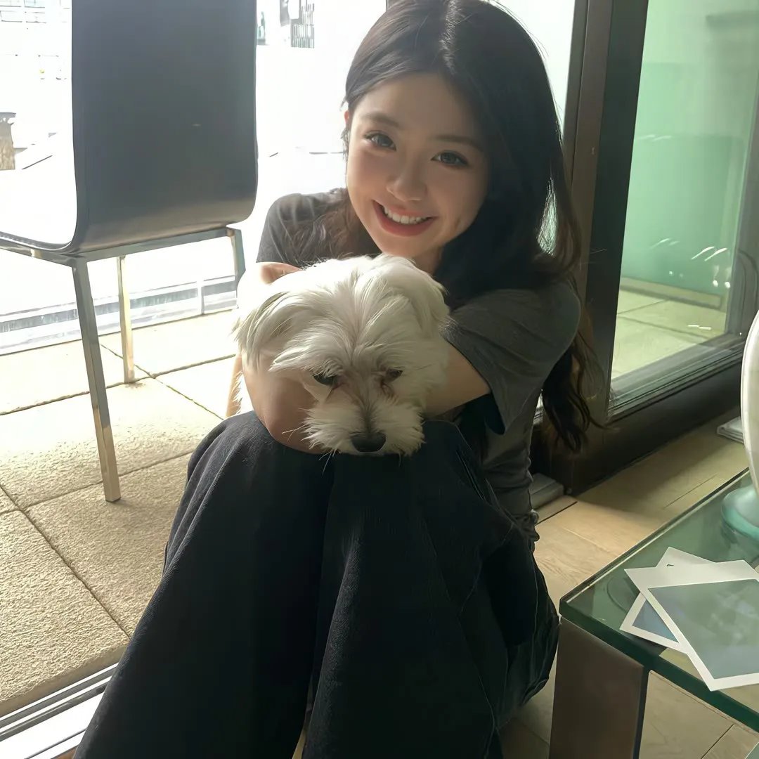 妙贼追凶